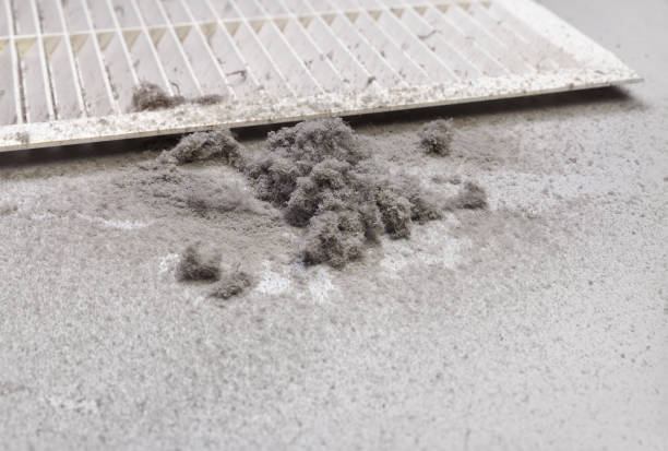 Best Ventilation Cleaning Services  in Pineland, TX