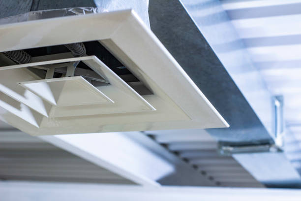 Best Affordable Duct Cleaning Services  in Pineland, TX