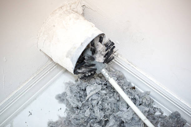 Best Best Air Duct Cleaning Company  in Pineland, TX