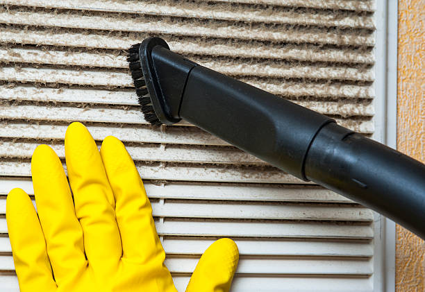 Best Air Duct Mold Removal  in Pineland, TX
